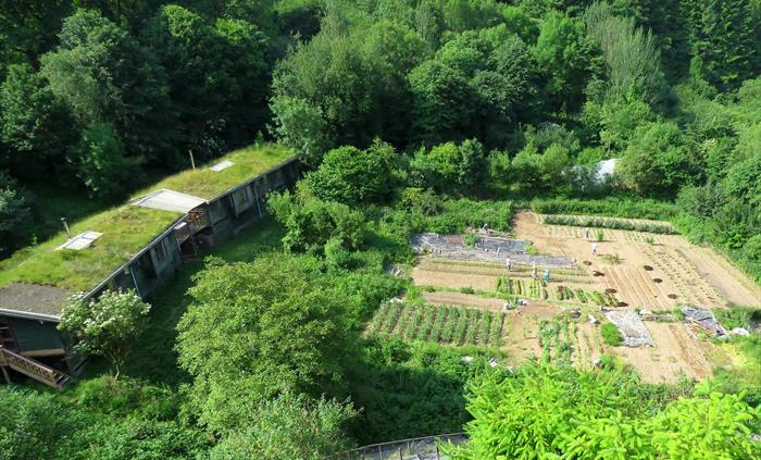 Organic Gardens